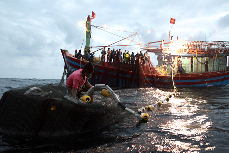 Ngư dân Bảo Ninh được hỗ trợ thẻ BHYT sau sự cố môi trường biển nhưng đến nay đã hết hạn. 