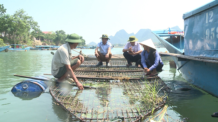 Toàn xã Sơn Trạch hiện có 367 hộ nuôi cá lồng với 710 lồng cá, tập trung ở các thôn dọc sông Son. 
