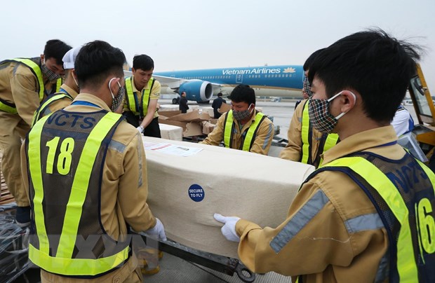  Nhân viên sân bay quốc tế Nội Bài vận chuyển thi thể các nạn nhân lên ôtô để đưa về quê nhà. (Ảnh: Lâm Khánh/TTXVN)