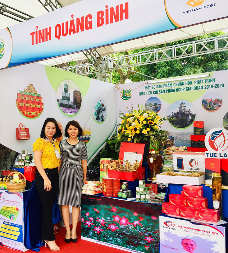 Sản phẩm sâm Bố Chính tham gia tham gia Festival OCOP toàn quốc lần thứ I năm 2019.