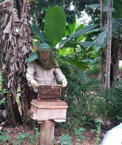 Gia đình ông Nguyễn Văn Sơn có nguồn thu khoảng 60 triệu đồng/năm từ nuôi ong lấy mật.
