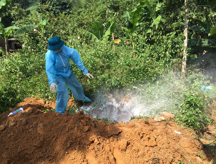 Công tác tiêu hủy và vệ sinh tiêu độc khử trùng tại xã Hạ Trạch bảo đảm vệ sinh thú y.