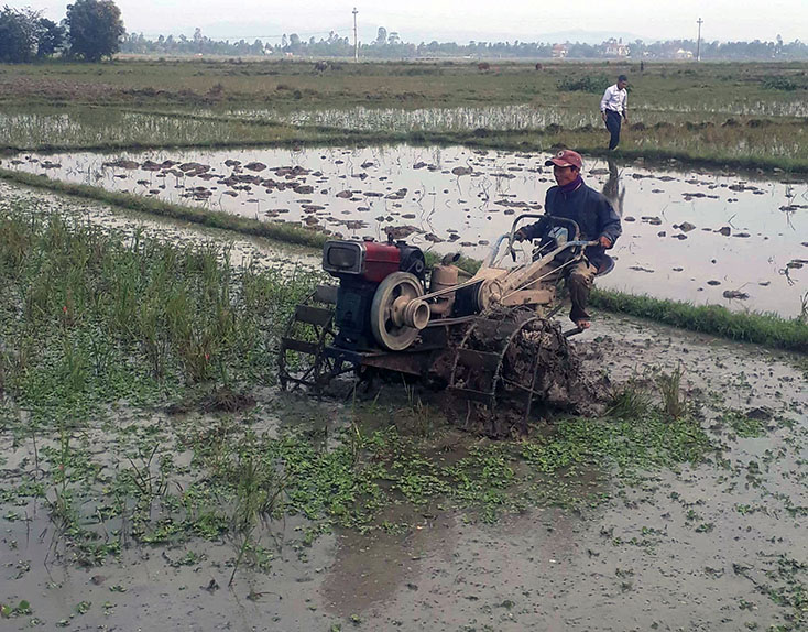 Người dân xã Quảng Thủy (thị xã Ba Đồn) làm đất gieo trồng vụ đông-xuân.