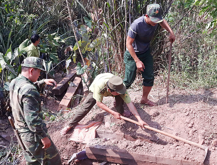 Lực lượng chức năng phát hiện thu giữ gỗ mun từ vụ phá rừng đặc biệt nghiêm trong tại tiểu khu 649, 650 thuộc VQG Phong Nha-Kẻ Bàng.