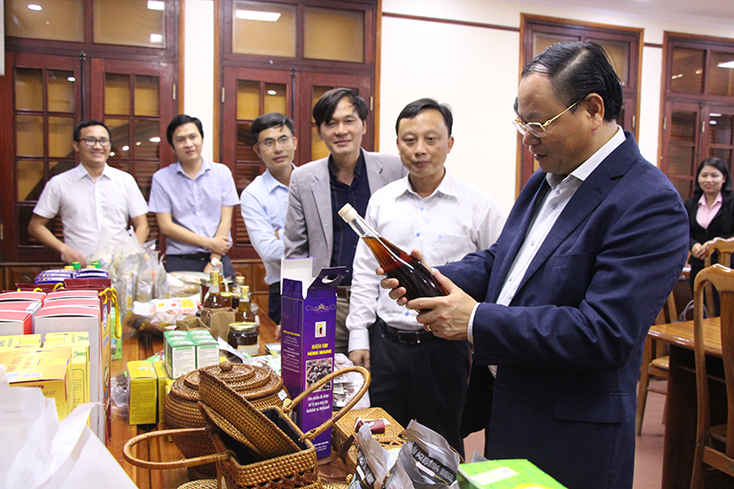 Đồng chí Lê Minh Ngân, Tỉnh ủy viên, Phó Chủ tịch UBND tỉnh kiểm tra các sản phẩm OCOP đăng ký đánh giá, phân hạng năm 2019