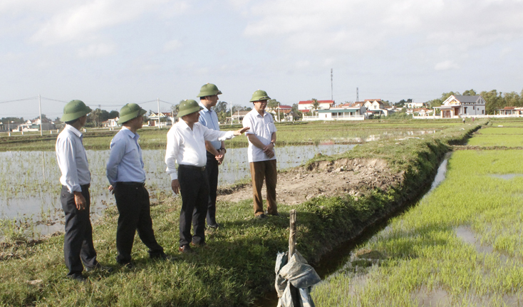 Đồng chí Lê Minh Ngân, Phó Chủ tịch UBND tỉnh kiểm tra tình hình sản xuất vụ đông xuân 2019-2020 tại huyện Quảng Trạch.