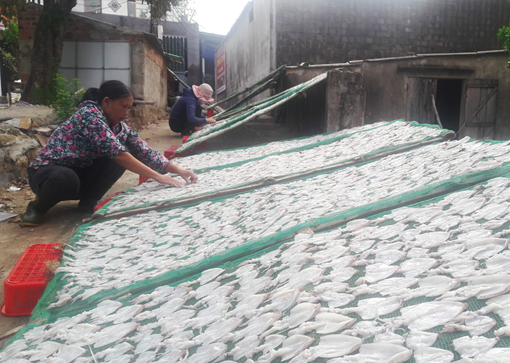 Sản phẩm hải sản khô được xã Bảo Ninh đăng ký tham gia chương trình OCOP.