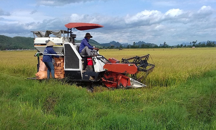 Nông dân Ba Đồn thực hiện cơ giới hóa trong sản xuất nông nghiệp.