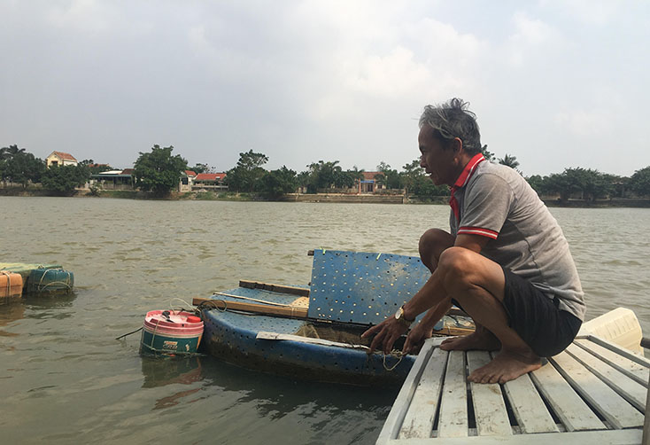 Mô hình nuôi cá chình của CCB Phạm Văn Liếc đem lại hiệu quả kinh tế cao cho gia đình.