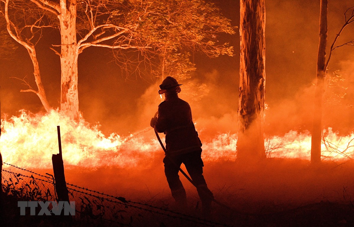 Lực lượng cứu hỏa nỗ lực dập lửa cháy rừng tại New South Wales, Australia. (Ảnh: AFP/TTXVN)