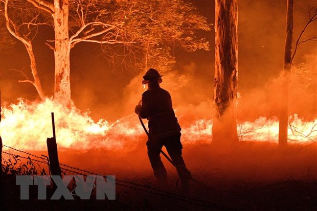 Lực lượng cứu hỏa nỗ lực dập lửa cháy rừng tại New South Wales, Australia. (Ảnh: AFP/ TTXVN)