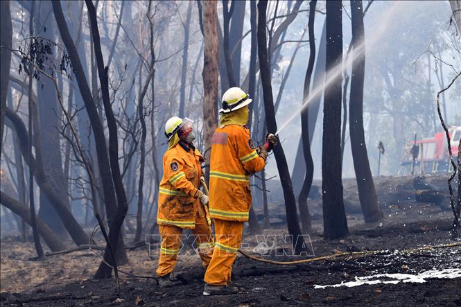 Lực lượng cứu hỏa nỗ lực dập lửa cháy rừng tại Dargan, Australia. Ảnh: AFP/TTXVN