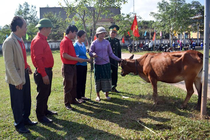 Hội viên phụ nữ được trao bò trong chương trình  