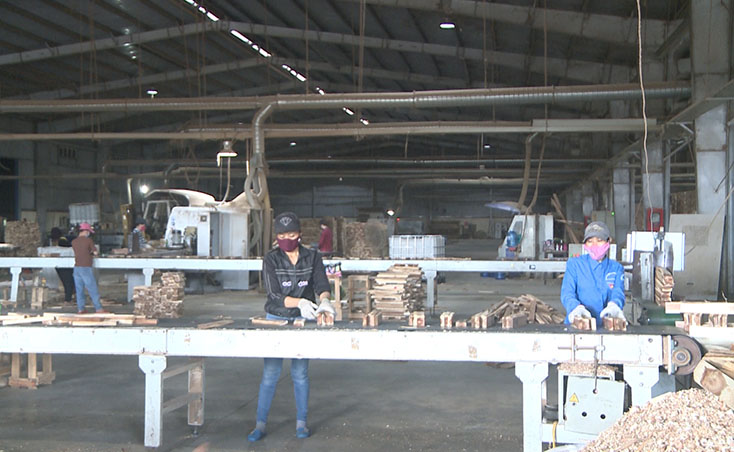 Công ty TNHH công nghiệp Trường Thành sản xuất ván ghép thanh xuất khẩu từ gỗ rừng trồng bảo đảm tiêu chuẩn. 
