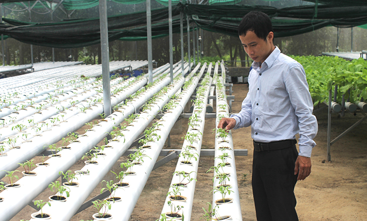Ứng dụng công nghệ cao là “điểm nhấn” trong sản xuất nông nghiệp của Quảng Bình. 