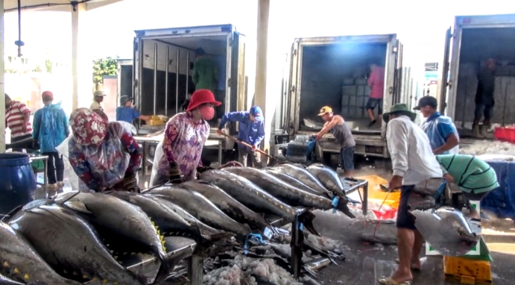 Những hải sản bắt được vào những ngày giáp Tết có giá trị kinh tế cao.