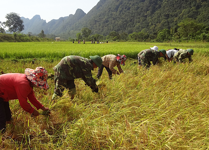 Bộ đội Biên phòng giúp người dân thực hiện các mô hình lúa nước.