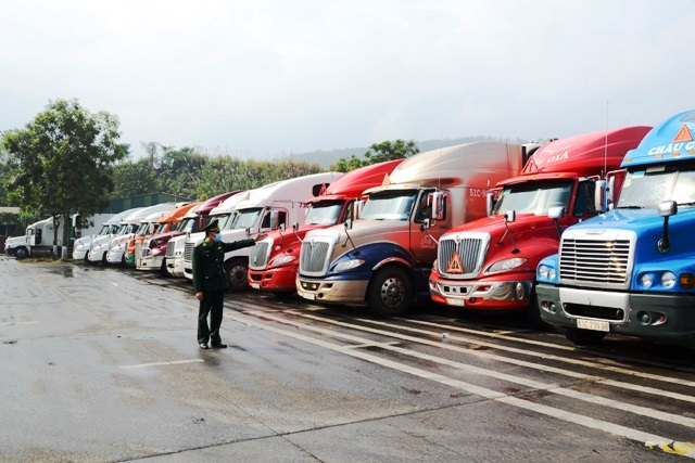 Hơn 3.000 tấn thanh long đang được bảo ôn trong các xe container ở Cửa khẩu Kim Thành, chờ xuất khẩu sang Trung Quốc. (Ảnh: QUỐC HỒNG)