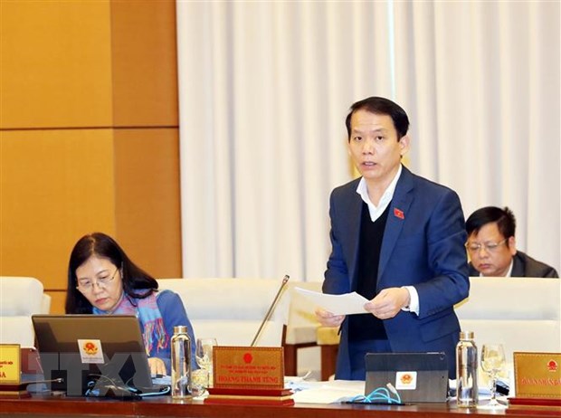 Chủ nhiệm Ủy ban Pháp luật của Quốc hội Hoàng Thanh Tùng trình bày báo cáo thẩm tra. (Ảnh: Trọng Đức/TTXVN)