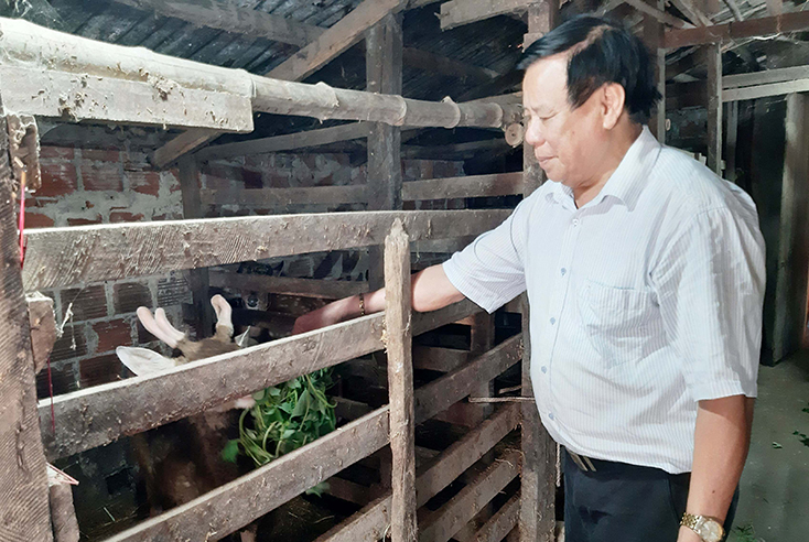 Ông Nguyễn Viết Nghĩa là tấm gương sáng trong phong trào lan tỏa mô hình nuôi hươu ở huyện Quảng Ninh. 