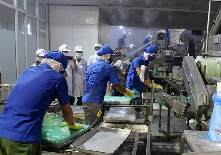 Với sự hỗ trợ của nguồn vốn khuyến công, Công ty TNHH xuất nhập khẩu Dalu Surimi xây dựng công nghệ sản xuất chả cá hiện đại. 