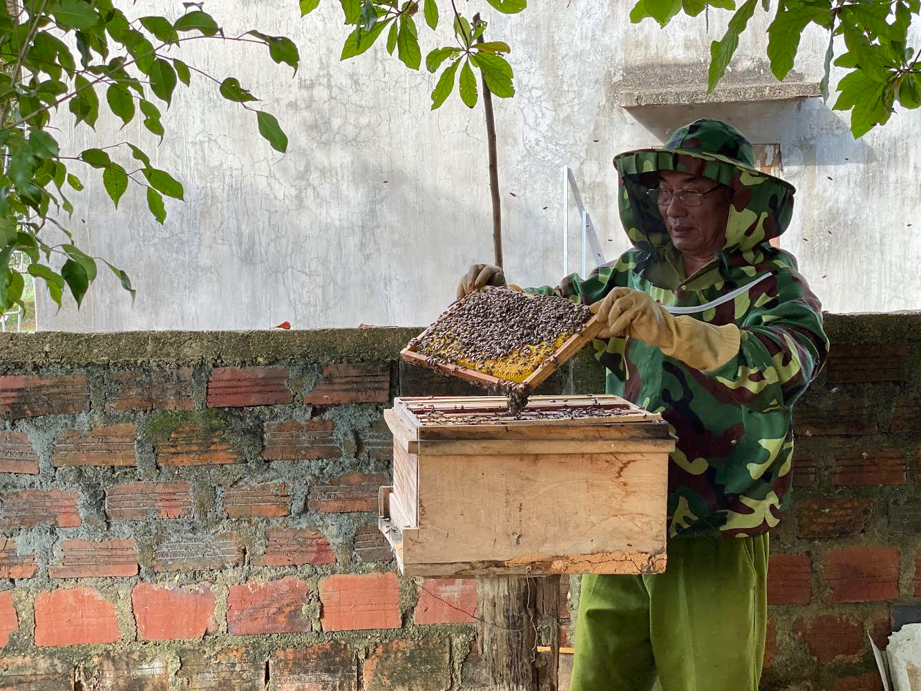 Nông dân Bố Trạch tận dụng lợi thế địa phương phát triển nghề nuôi ong lấy mật