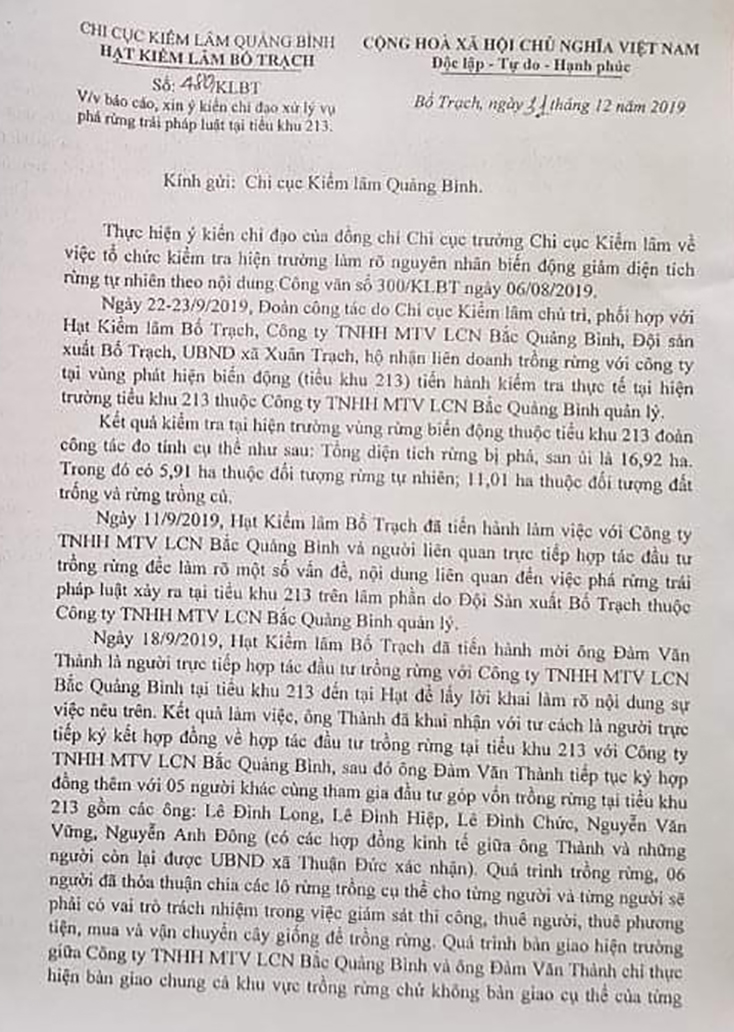 Báo cáo ban đầu của Hạt Kiểm lâm huyện Bố Trạch về vụ phá rừng tại tiểu khu 213 do Công ty TNHH MTV LCN Bắc Quảng Bình quản lý.