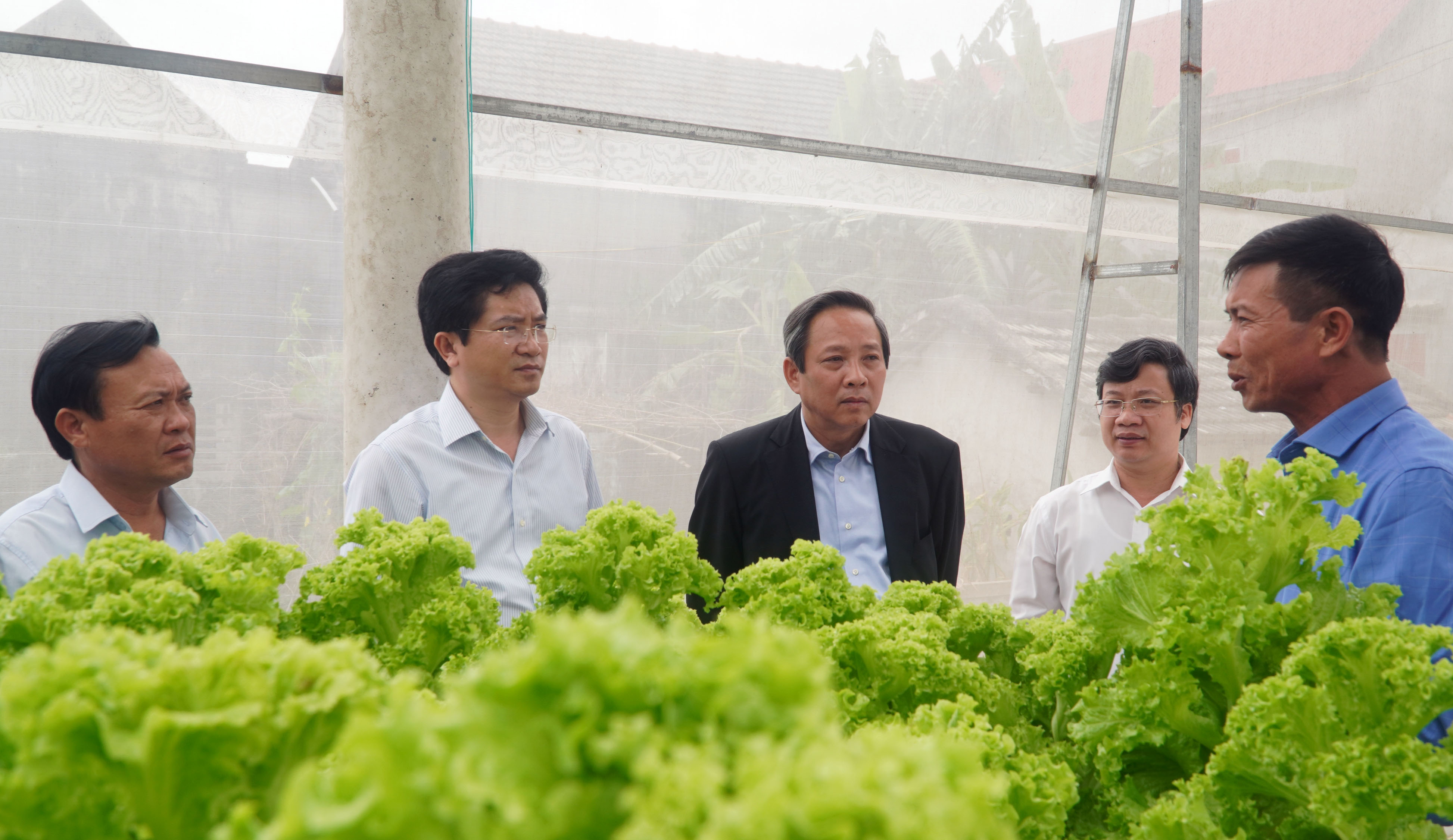 Đồng chí Bí thư Tỉnh ủy Hoàng Đăng Quang thăm mô hình trồng rau sạch tại phường Quảng Thọ