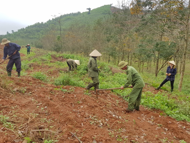 Xã Thuận Hóa tập trung phát triển sản xuất nông nghiệp, lâm nghiệp bền vững, nâng cao thu nhập cho người dân.