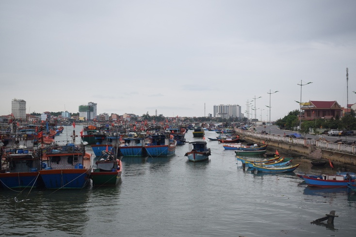 Người dân Bảo Ninh mạnh dạn đầu tư đổi mới trang thiết bị, đóng mới tàu thuyền, ngư lưới cụ khai thác, đánh bắt hải sản. 