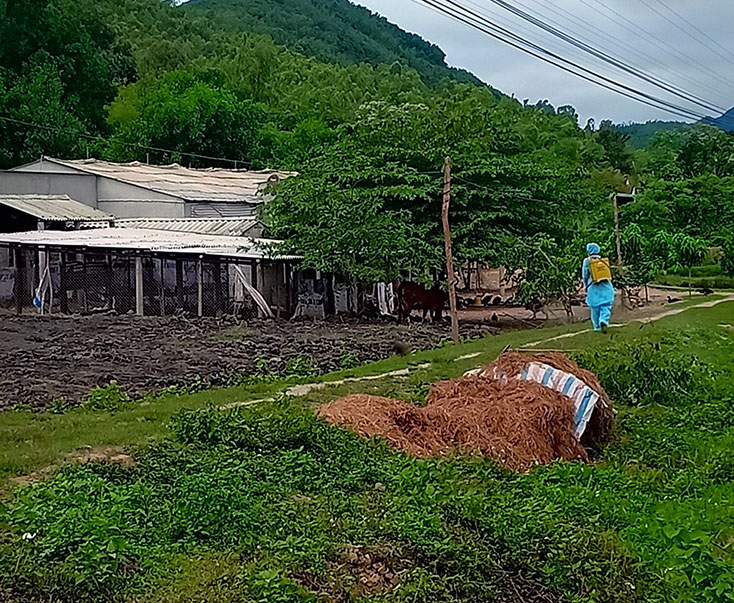 Cán bộ Trung tâm Nông nghiệp và dịch vụ  thị xã Ba Đồn phun thuốc tiêu độc khủ trùng các chuồng trại trên địa bàn.