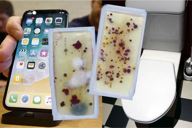  Nghiên cứu chỉ ra rất nhiều vi khuẩn, vi trùng bám trên bề mặt điện thoại di động. Ảnh: Getty Image