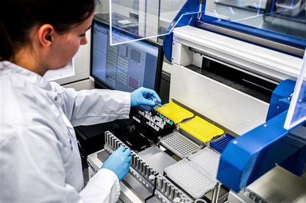 Nhân viên y tế phân tích mẫu bệnh phẩm của bệnh nhân nhiễm COVID-19 tại một phòng thí nghiệm ở Roosendaal, Hà Lan ngày 4-3-2020. (Ảnh: AFP/TTXVN)