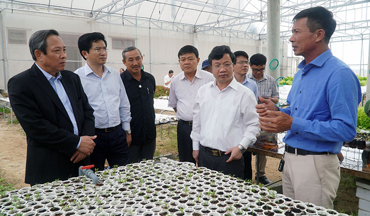 Các đồng chí lãnh đạo tỉnh và thị xã Ba Đồn thăm mô hình rau sạch của anh Nguyễn Hữu Việt 