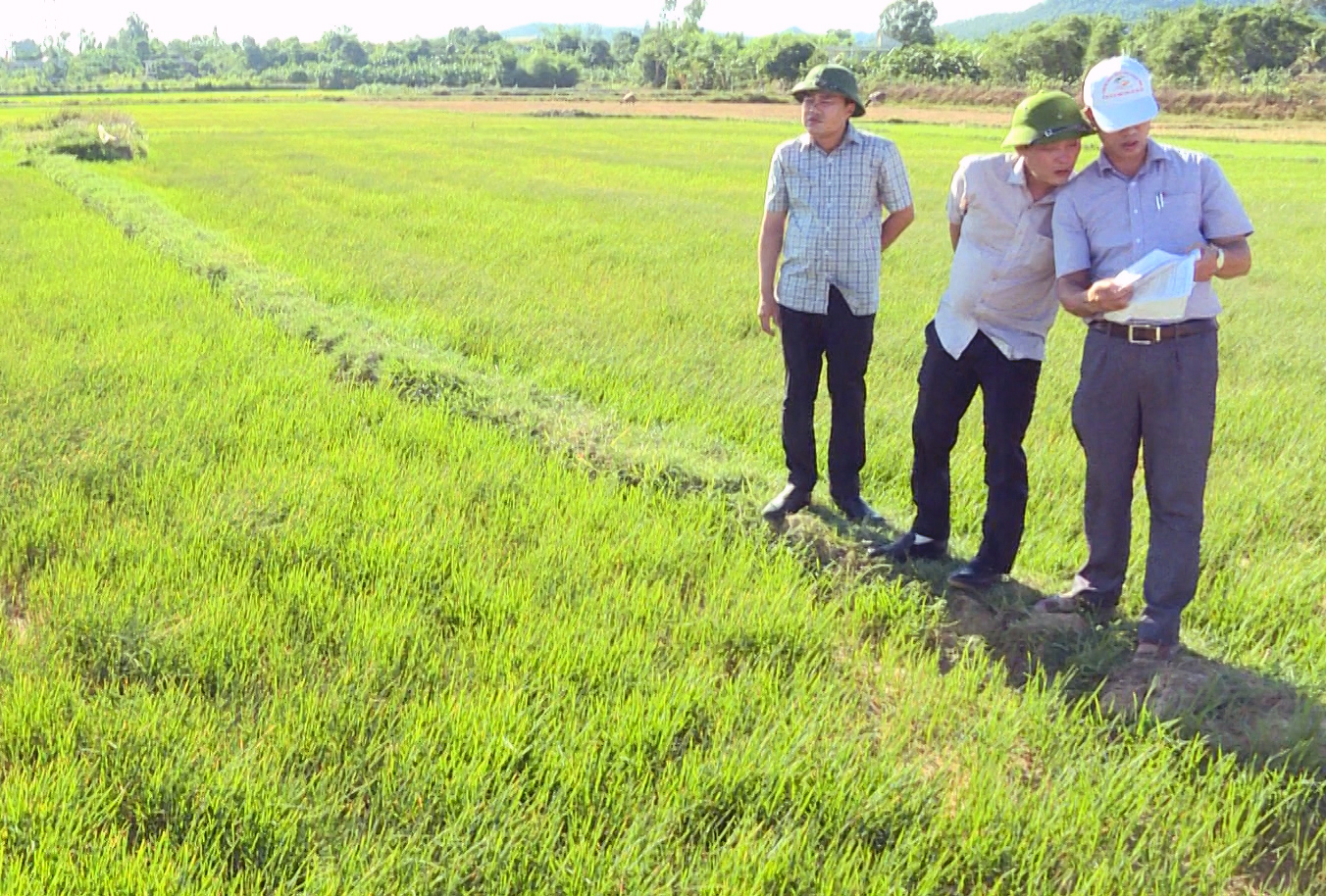 Đảng bộ đã tham mưu và thực hiện hiệu quả 3 chương trình hành động đột phá trong phát triển kinh tế-xã hội.