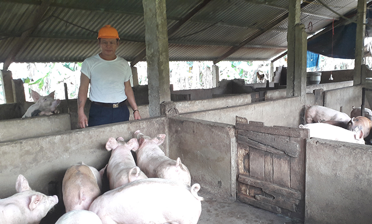 Mô hình chăn nuôi tổng hợp của gia đình anh Hà Văn Thú tạo công ăn việc làm cho nhiều lao động địa phương. 