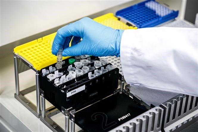 Kỹ thuật viên xét nghiệm mẫu bệnh phẩm COVID-19 trong phòng thí nghiệm tại Roosendaal, Hà Lan, ngày 4-3-2020. (Nguồn: AFP/TTXVN)