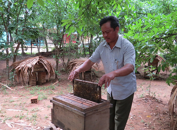   Nhiều người dân Minh Hóa nuôi ong lấy mật trong vườn nhà để tăng thêm thu nhập.