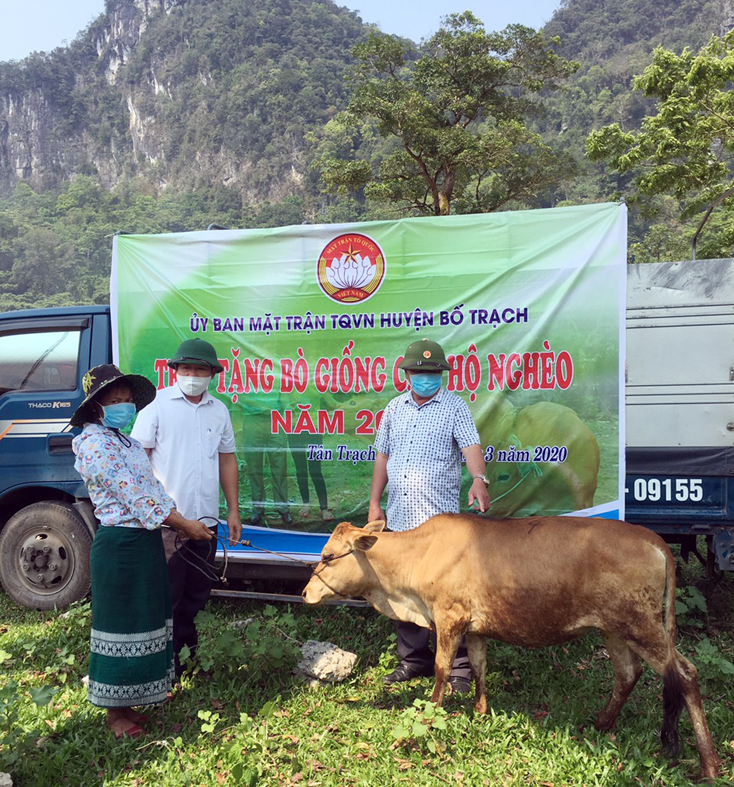 Chủ tịch Ủy ban MTTQ Việt Nam Huyện Bố Trạch Lê Duy Hưng trao tặng bò giống cho hộ nghèo tại xã Tân Trạch.