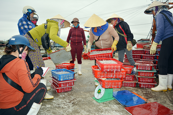  Tấp nập người mua bán các loại hải sản tại khu dịch vụ hậu cần nghề cá (thôn Thanh Gianh, xã Thanh Trạch). 