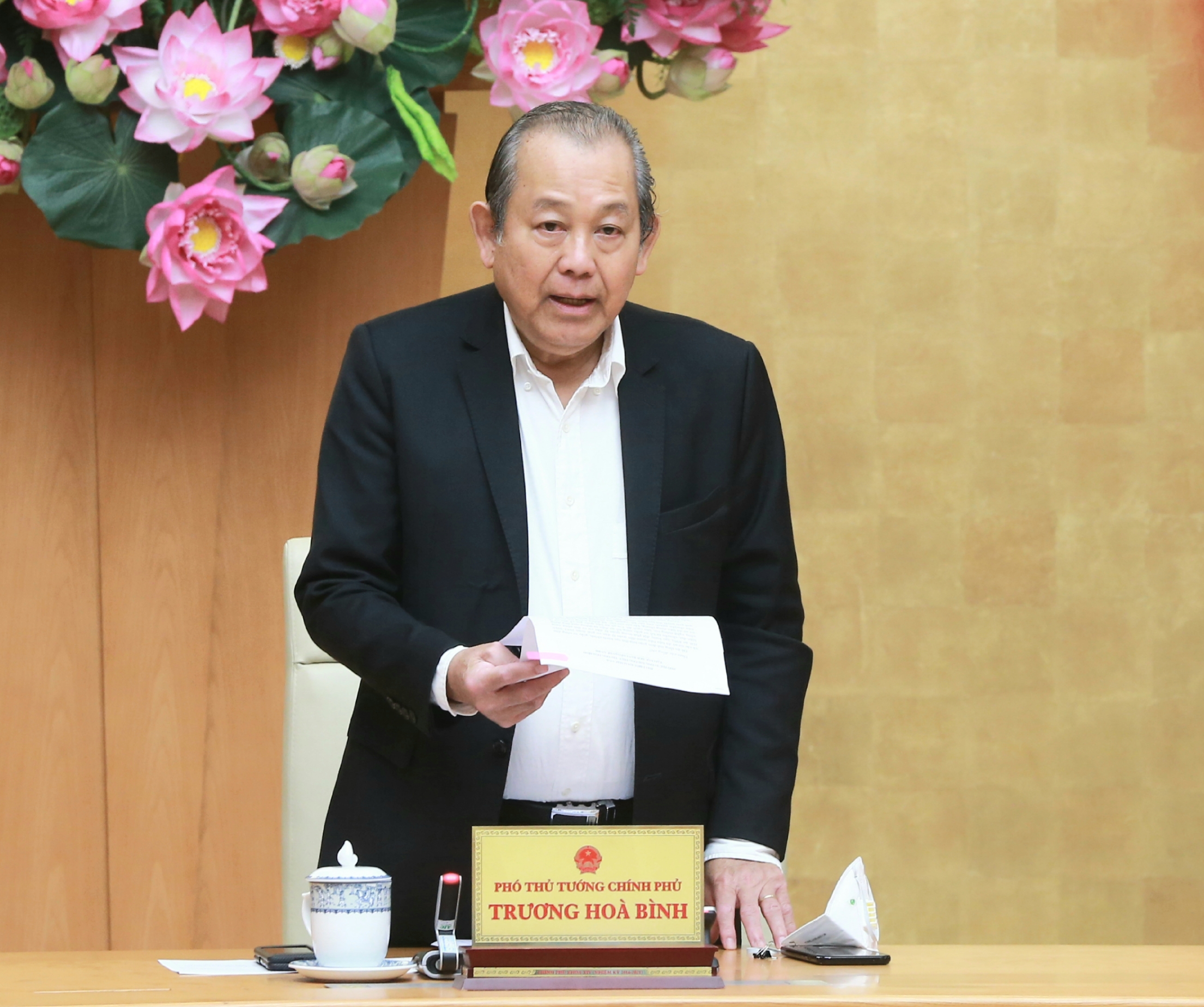 Phó Thủ tướng Trương Hòa Bình phát biểu tại hội nghị. Ảnh: VGP/Lê Sơn