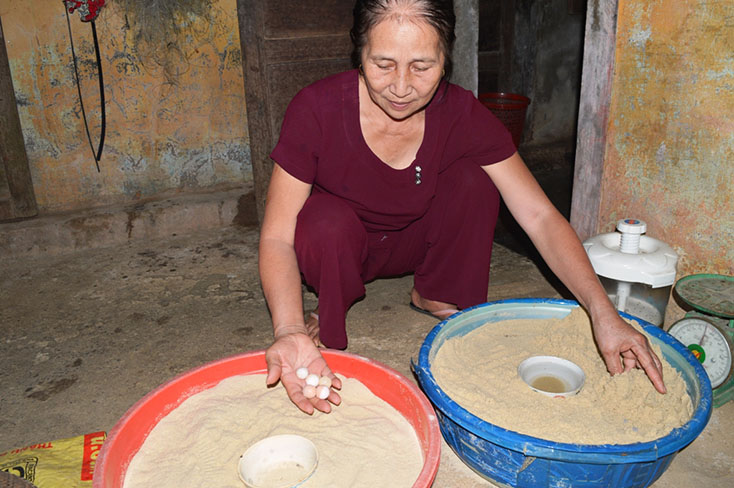 Không chỉ nuôi thả thành công ba ba thịt, bà Nguyễn Thị Sê còn cung ứng cho thị trường ba ba giống. 
