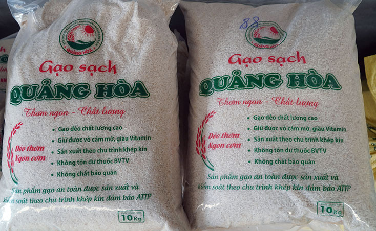 Sản phẩm gạo sạch Quảng Hòa 