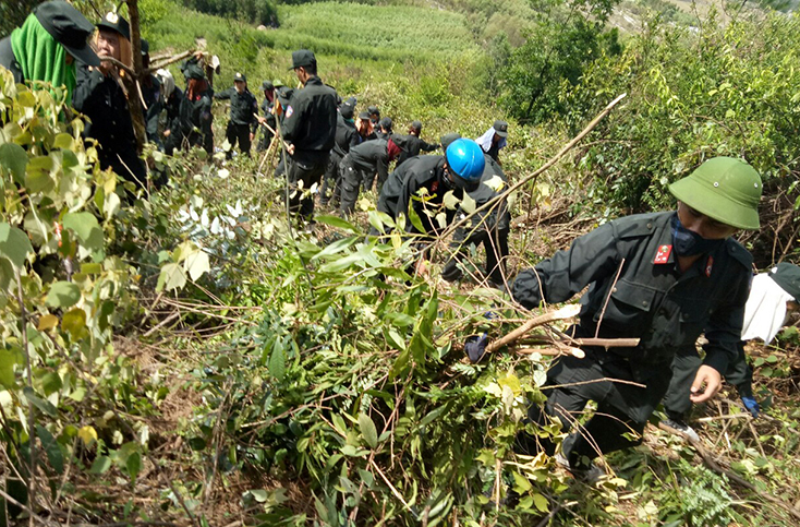 Các đơn vị chủ rừng cần chủ động phương án huy động lực lượng chữa cháy và xử lý kịp thời khi có cháy rừng xảy ra. 