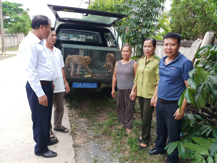 Người dân trên địa bàn tỉnh có ý thức, tự nguyện giao nộp động vât rừng cho các ngành chức năng.