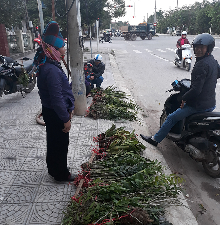 Đội quy tắc và trật tự đô thị TP. Đồng Hới tiếp tục tăng cường xử lý các trường hợp buôn bán lấn chiếm vỉa hè, lòng lề đường trên địa bàn.