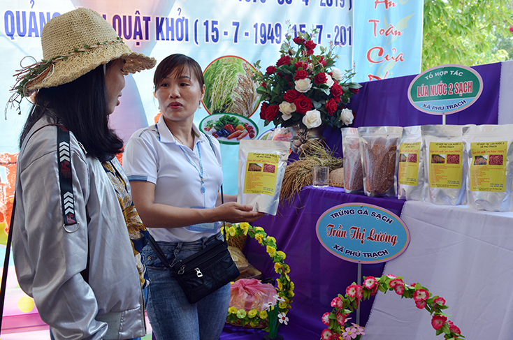  Sản phẩm gạo “nước hai” đang được huyện Bố Trạch tích cực đẩy mạnh truyền thông quảng bá. 
