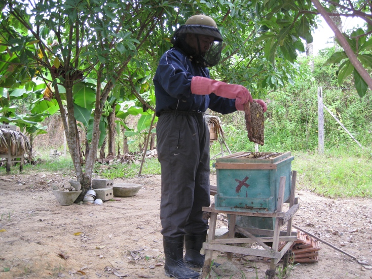  Nhờ được hỗ trợ, nhiều hộ dân trên địa bàn Tuyên Hóa đã nỗ lực phát triển kinh tế, vươn lên thoát nghèo. Ảnh: Đ.V