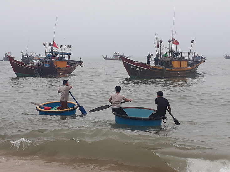 Bán hết hải sản, các tàu cá vui mừng gấp rút chuẩn bị cho chuyến ra khơi mới trong điều kiện giá dầu giảm sâu. 