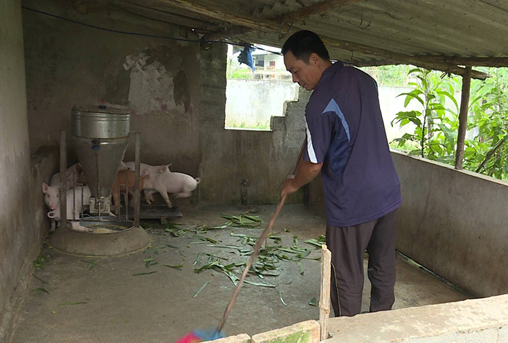  Mô hình chăn nuôi lợn của gia đình anh Phan Quyết Chiến (Quảng Lưu Quảng Trạch) mang lại nguồn thu nhập ổn định hàng năm.